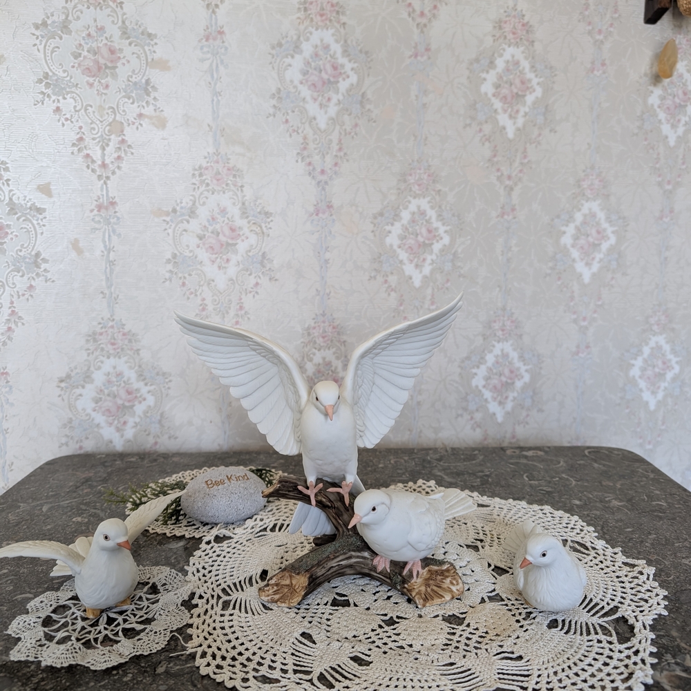 Beautiful White Birds